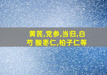 黄芪,党参,当归,白芍 酸枣仁,柏子仁等